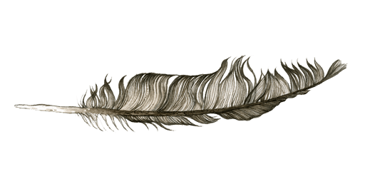 Feather